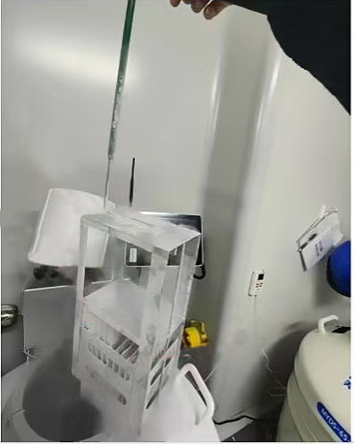 生物凍存